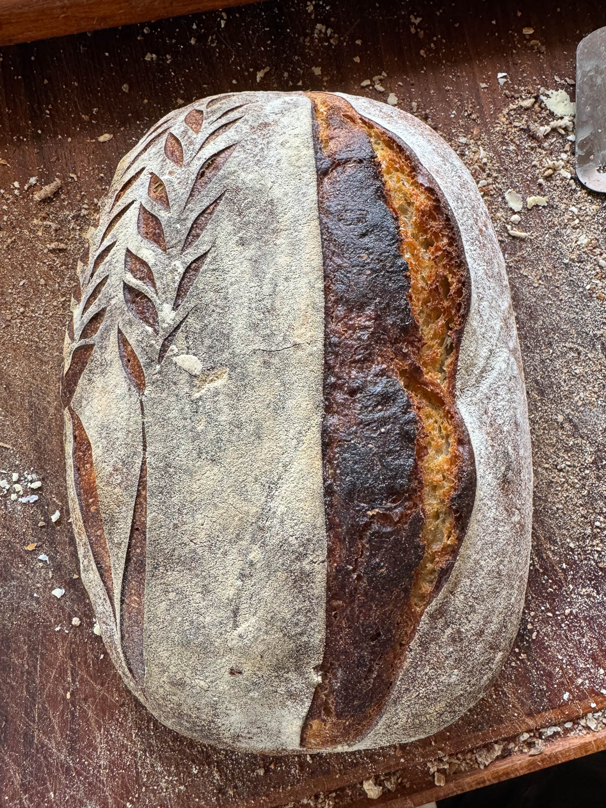 Morning at Muntergården